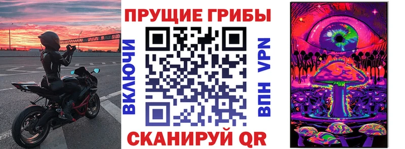 Псилоцибиновые грибы Magic Shrooms  наркошоп  Городище 
